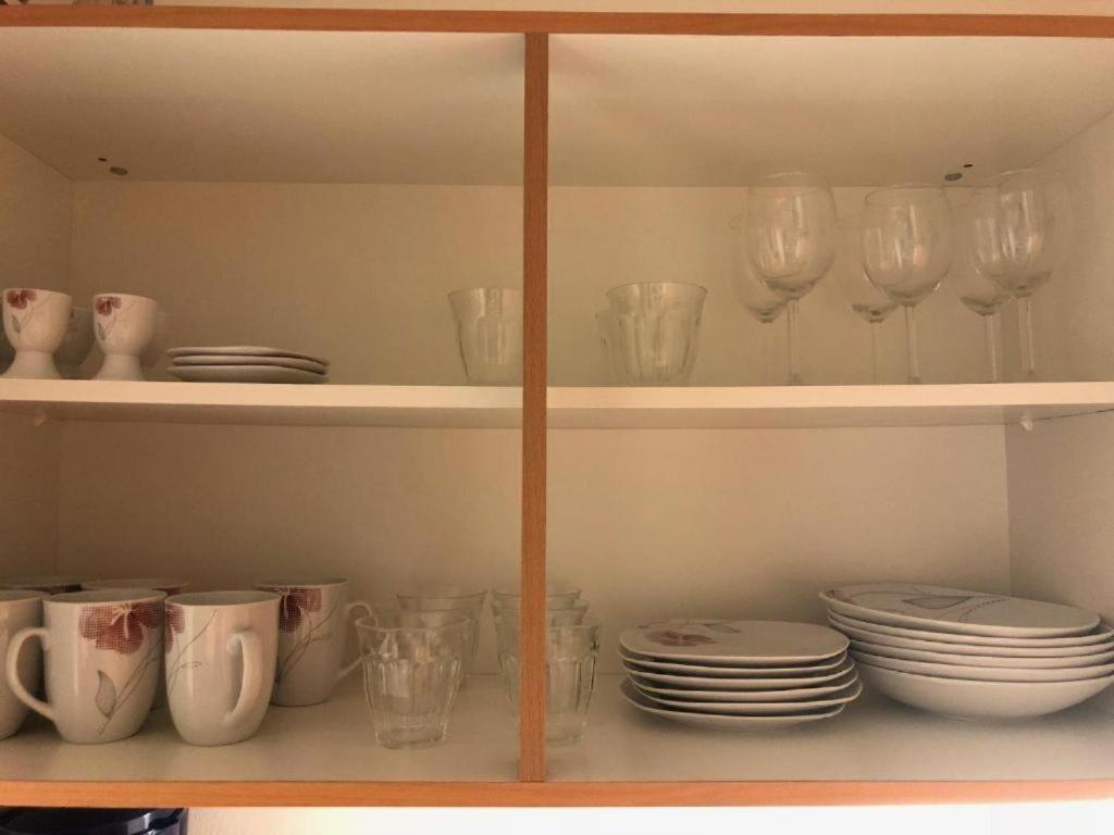 Apartmans V Arealu Vlnena 布尔诺 外观 照片